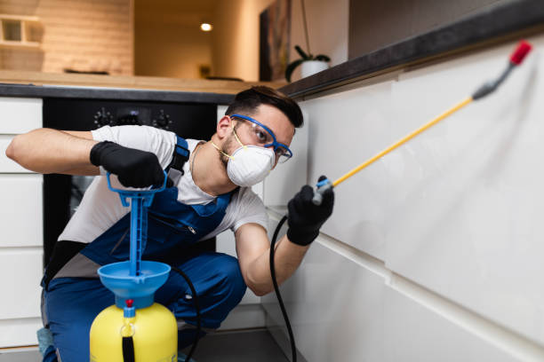Best Pest Prevention Services  in Holden, MO