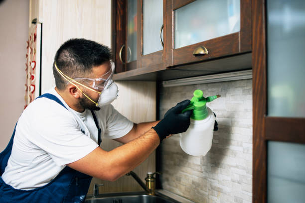Holden, MO Pest Control Company