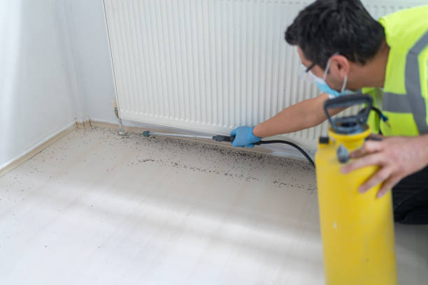 Best Best Pest Control Companies  in Holden, MO