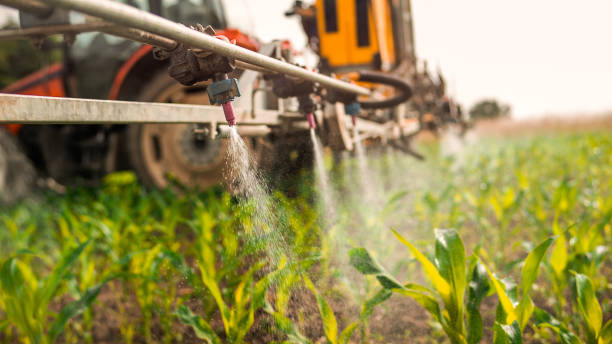 Best Pest Control Treatment  in Holden, MO